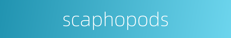 scaphopods的同义词