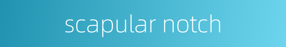 scapular notch的同义词