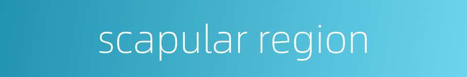 scapular region的同义词