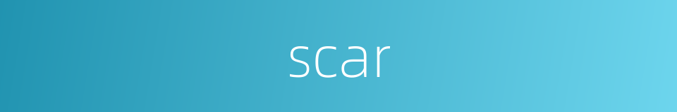 scar的同义词