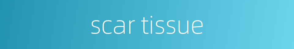 scar tissue的同义词