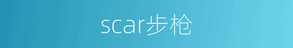 scar步枪的同义词