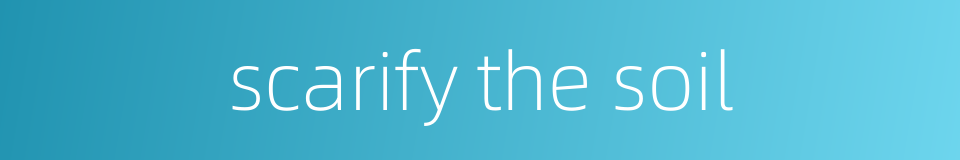 scarify the soil的同义词