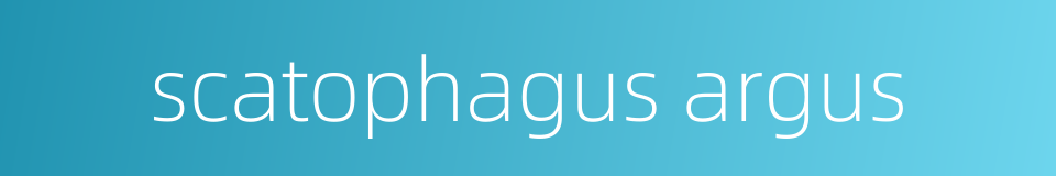 scatophagus argus的同义词
