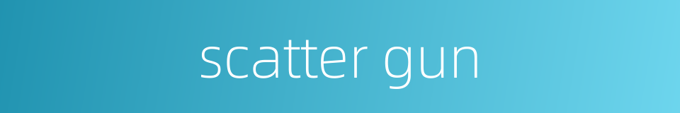 scatter gun的同义词