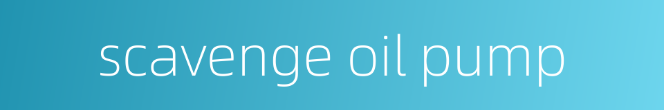 scavenge oil pump的同义词