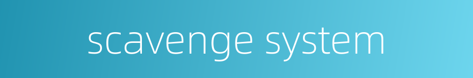 scavenge system的同义词