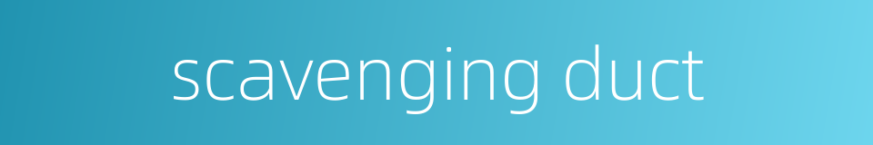 scavenging duct的同义词