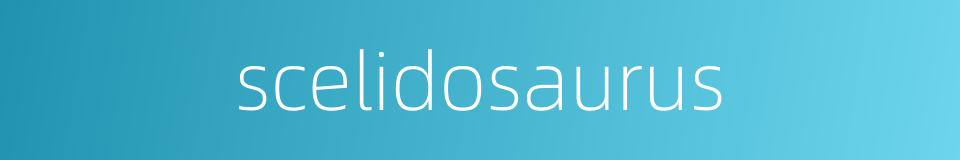scelidosaurus的同义词