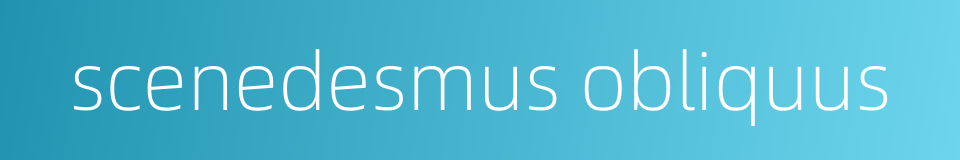 scenedesmus obliquus的同义词