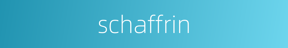 schaffrin的同义词