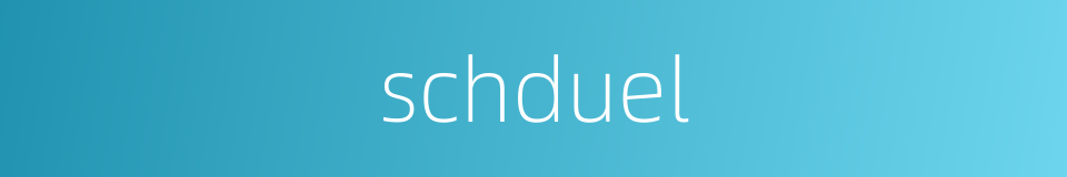 schduel的同义词