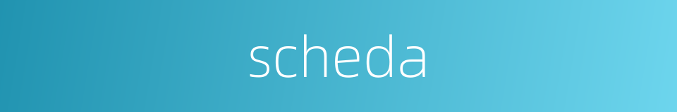 scheda的同义词