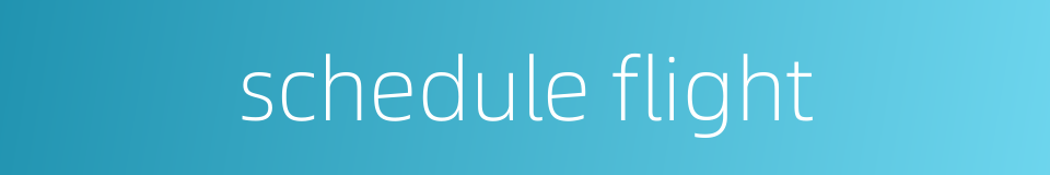 schedule flight的同义词