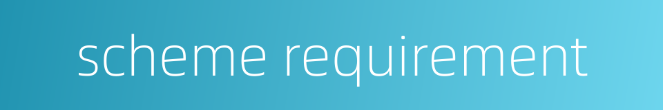 scheme requirement的同义词