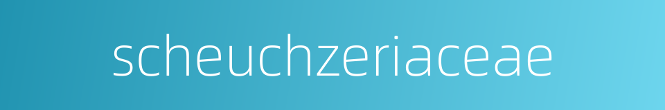 scheuchzeriaceae的同义词