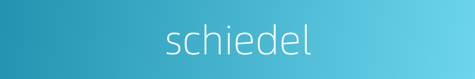 schiedel的同义词