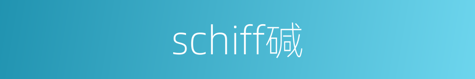 schiff碱的同义词