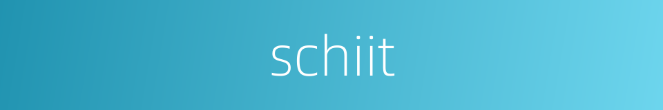 schiit的同义词