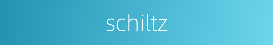 schiltz的同义词