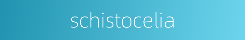 schistocelia的同义词