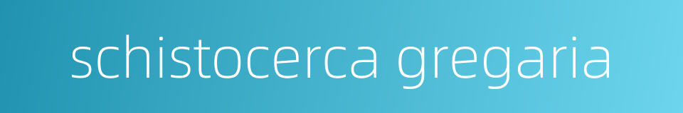 schistocerca gregaria的同义词