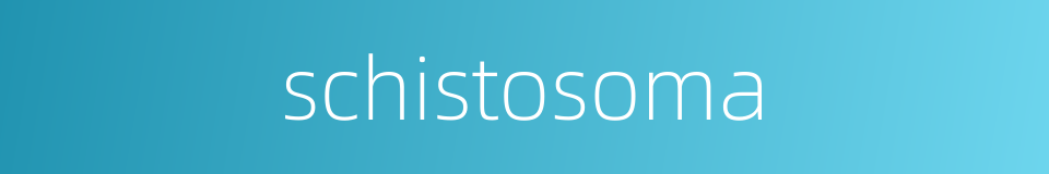 schistosoma的同义词