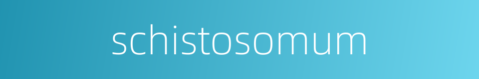schistosomum的同义词