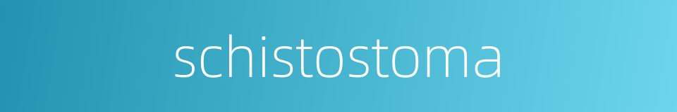 schistostoma的同义词