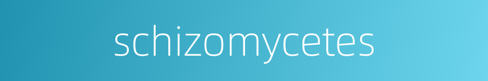 schizomycetes的同义词