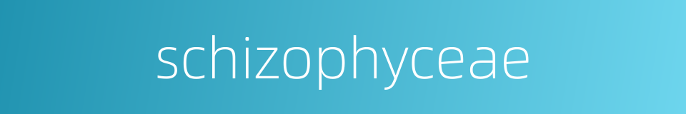 schizophyceae的同义词