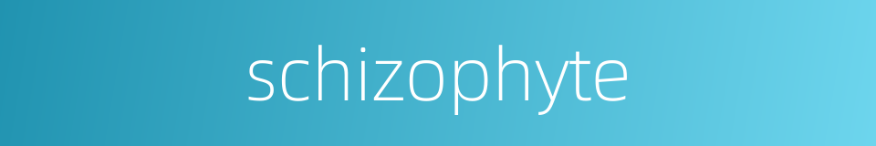 schizophyte的同义词