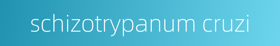 schizotrypanum cruzi的同义词