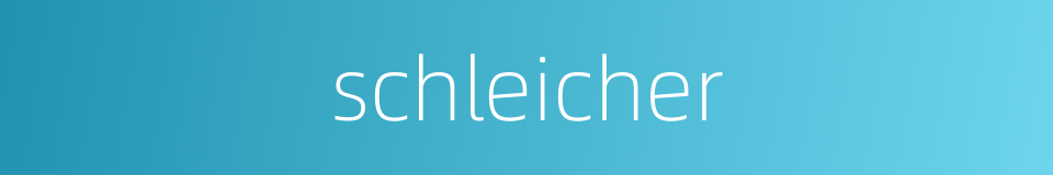 schleicher的同义词