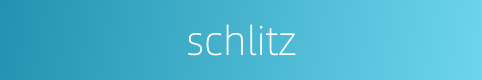 schlitz的同义词