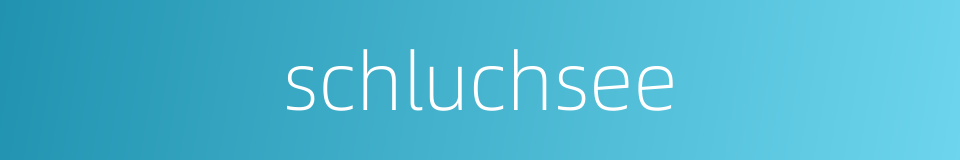 schluchsee的同义词
