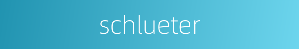 schlueter的同义词