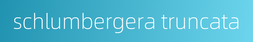 schlumbergera truncata的同义词