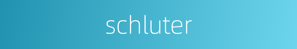 schluter的同义词