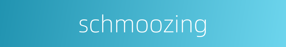 schmoozing的同义词