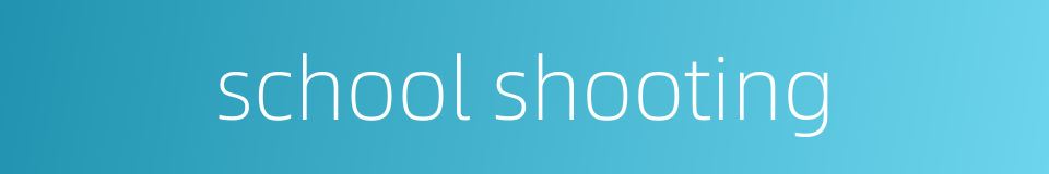school shooting的同义词