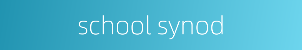 school synod的同义词