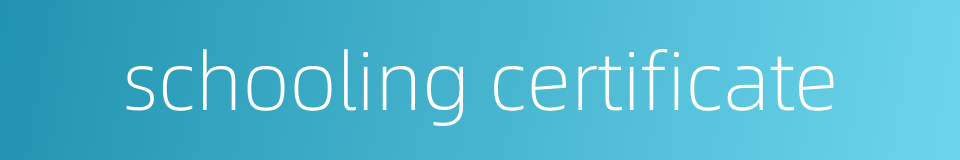 schooling certificate的同义词