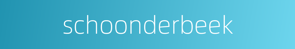 schoonderbeek的同义词