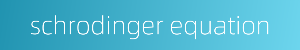 schrodinger equation的同义词