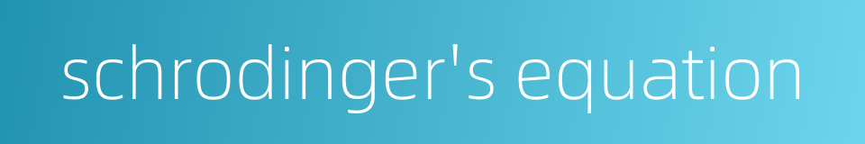 schrodinger's equation的同义词