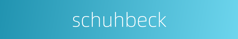 schuhbeck的同义词
