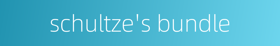 schultze's bundle的同义词