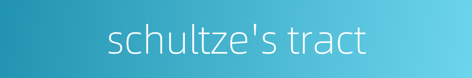 schultze's tract的同义词