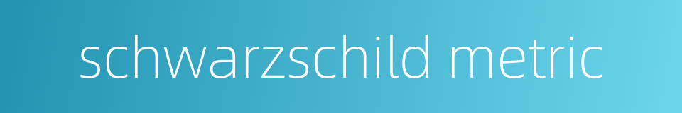 schwarzschild metric的同义词